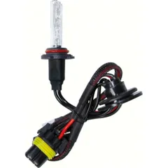 12/24V HID Xenon bulb 6.000K - H10 - 1 pcs - Box