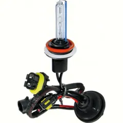 12/24V HID Xenon bulb 8.000K - H11 - 1 pcs - Box
