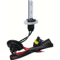 12/24V HID Xenon bulb 6.000K - H1 - 1 pcs - Box