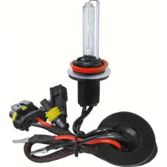 12/24V HID Xenon bulb 8.000K - H8 - 1 pcs - Box