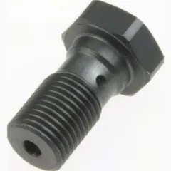 banjo bolt M10x1.00 (for Brembo) MCH 911 T