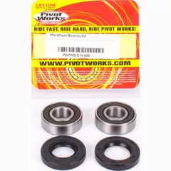 Front Wheel Bearing and seal kit for Suzuki AN 650 Burgmann