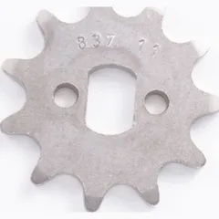 Pinion 12T 415 R20-0837-12