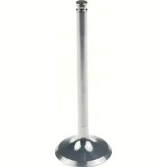29.00 x 81.00 x 5.45 Titanium Exhaust valve