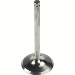 31.00 x 76.95 x 5.45 Titanium Exhaust valve