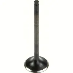 19.00 x 69.00 x 4.97 Steel Intake valve