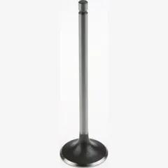 28.50 x 96.60 x 4.96 Steel Intake valve