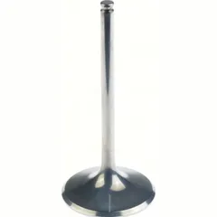 Titanium Intake valve