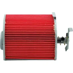 Luftfilter MIW H1246 für Honda CB250 Two Fifty (91-02)-CB250 Nigh