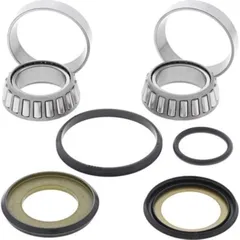 Steering Bearing Kit for: Beta RR 2T 250 13-18