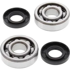 Crank Shaft Bearing Kit Cobra CX 65 07-14