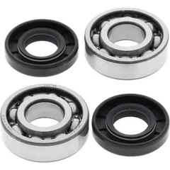 Crank Shaft Bearing Kit Cobra CM 50 04-05