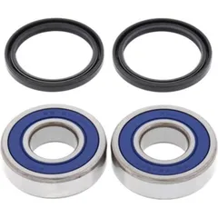 Wheel Bearing Kit Rear TM EN 125 05-11