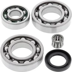 Differential Bearing + Seal Kit Rear for: Kawasaki KLF220 Bayou 88-02