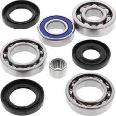 Differential Bearing + Seal Kit Rear Arctic Cat 375 2x4 w+AT 02