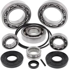 Differential Bearing / Seal Kit Rear for: Kawasaki TERYX 750 4x4 08-13