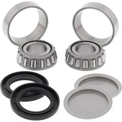 Swing Arm Bearing Kit Arctic Cat 250 2x4 06-09