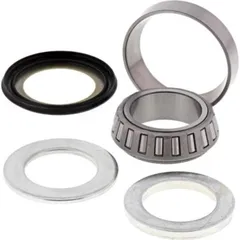 Stearing Bearing + Seal 419935125
