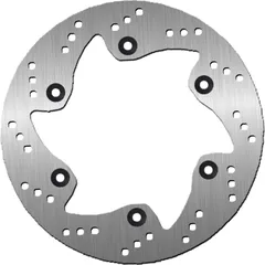 Bremsscheibe NG 1023 256 mm, starr (FXD)
