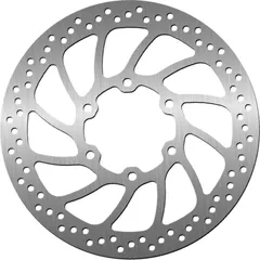 Bremsscheibe NG 1645 300 mm, schwimmend gelagert (FLD) Wavy