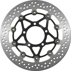 Bremsscheibe NG 1695G 305 mm, schwimmend gelagert (FLD)
