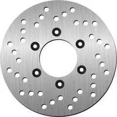 Bremsscheibe NG 0248 175 mm, starr (FXD)