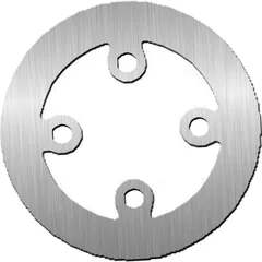 Bremsscheibe NG 0670 173 mm, starr (FXD)