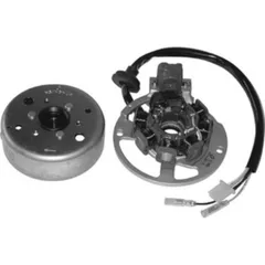 Lichtmaschine SGR für Aprilia, Beta, Benelli, Italjet, Malaguti, MBK, Yamaha (40cm Kabel)