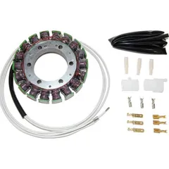 ElectroSport Stator ESG09 für Lichtmaschine