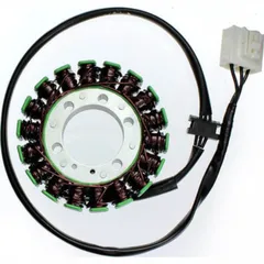 ElectroSport Stator ESG138 für Lichtmaschine