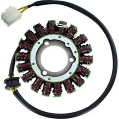 ElectroSport Stator ESG221 für Lichtmaschine