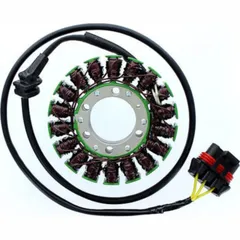 ElectroSport Stator ESG306 für Lichtmaschine