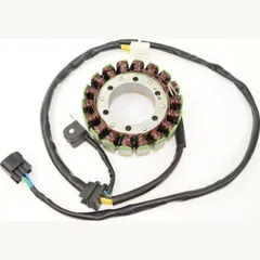 ElectroSport Stator ESG309 für Lichtmaschine