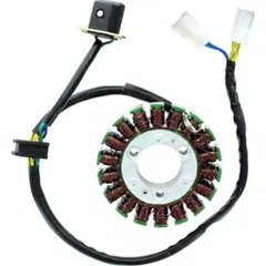ElectroSport Stator ESG368 für Lichtmaschine