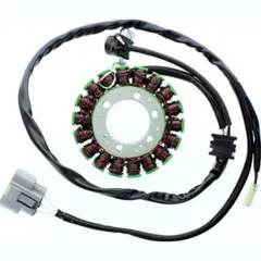 ElectroSport Stator ESG509 für Lichtmaschine