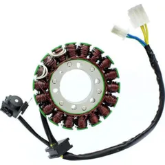 ElectroSport Stator ESG534 für Lichtmaschine