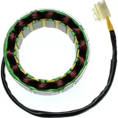 ElectroSport Stator ESG81 für Lichtmaschine