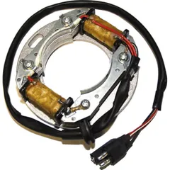 ElectroSport Stator ESC8081 für Lichtmaschine