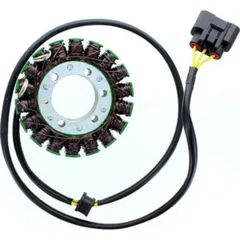 ElectroSport Stator ESG996 für Lichtmaschine