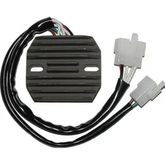 ElectroSport Charge controller ESR 350