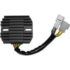 ElectroSport Charge controller ESR 121