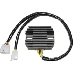 ElectroSport Charge controller ESR 310