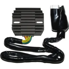 ElectroSport Charge controller ESR 431