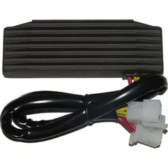 ElectroSport Charge controller ESR 750