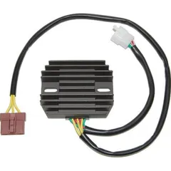 ElectroSport Charge controller ESR 916