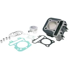 Zylindersatz Zylinderkit Polini Grauguss Sport 79ccm 49mm für Piaggio 50 4T 2V 140.0202