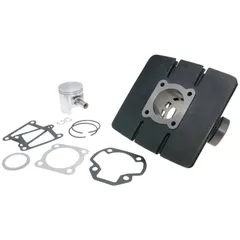 Zylindersatz Zylinderkit Polini Grauguss Sport 63ccm 45mm für Yamaha DT AC 166.0047