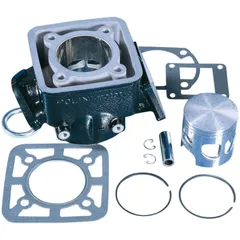 Zylindersatz Zylinderkit Polini Aluminium Sport 100ccm für Yamaha DT 80 LC 166.0048