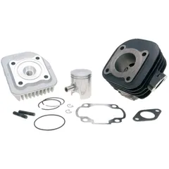 Zylindersatz Zylinderkit Polini Grauguss Sport d=40mm 50ccm, 10mm schräg für Minarelli liegend AC 166.0093