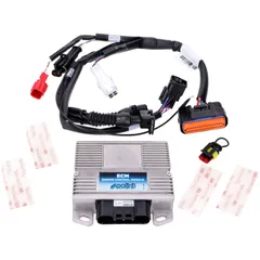 Einspritzmodul Polini ECU für Vespa GTS 300 Euro5 171.0017